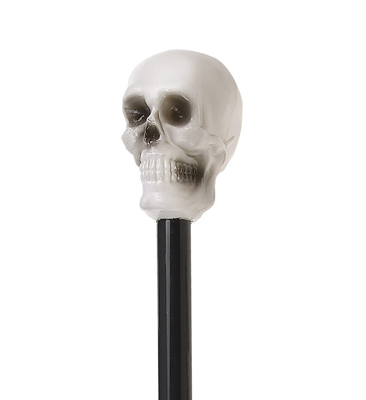 CANNE SQUELETTE 80 cm – Image 2