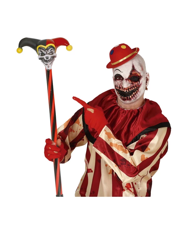 Canne Arlequin