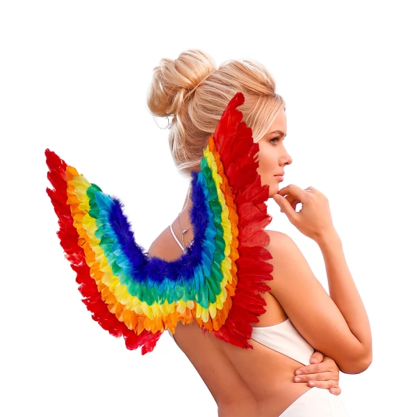 AILES ARC EN CIEL EN PLUMES 60x40 cm