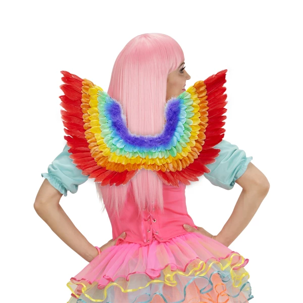 AILES ARC EN CIEL EN PLUMES 60x40 cm – Image 3