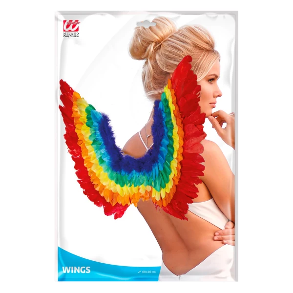 AILES ARC EN CIEL EN PLUMES 60x40 cm – Image 5