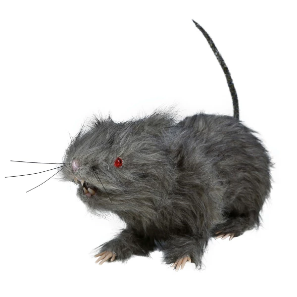 Rats de 30cm