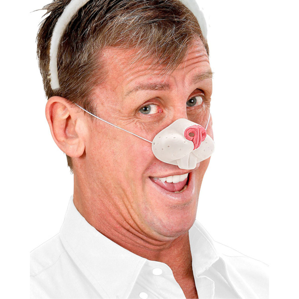 NEZ DE LAPIN