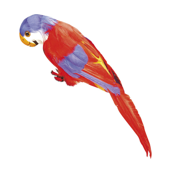 PERROQUET A PLUMES rouge
